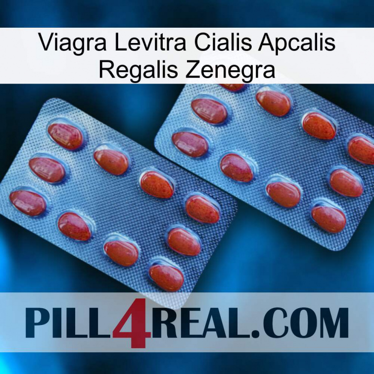 Viagra Levitra Cialis Apcalis Regalis Zenegra 05